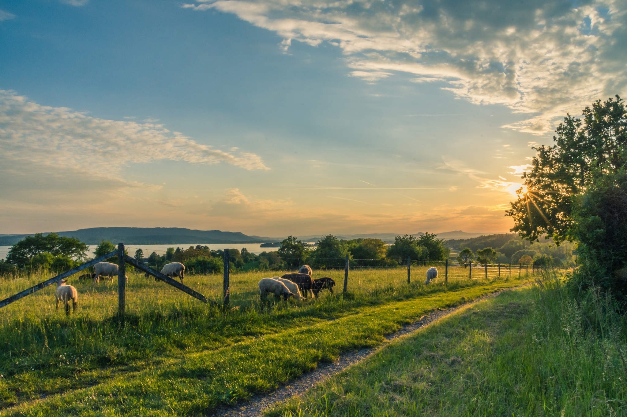 Leia mais sobre o artigo Como conquistar a sua fazenda ou chácara no interior economizando e utilizando o consórcio?