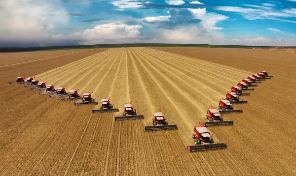 Leia mais sobre o artigo O crescimento do consórcio no agronegócio brasileiro